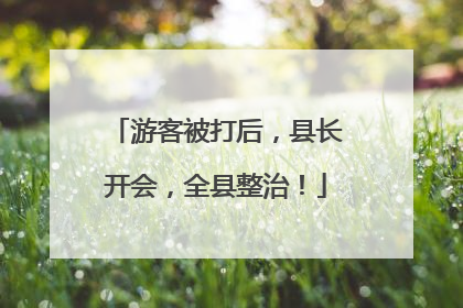 游客被打后，县长开会，全县整治！